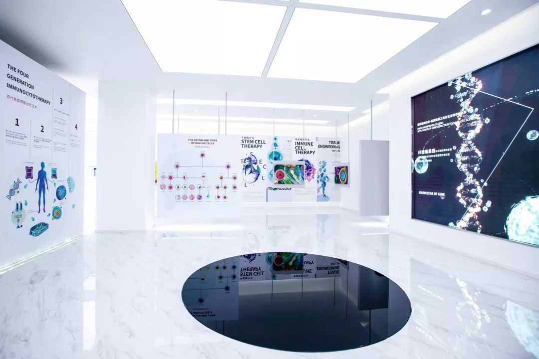干細胞展廳設(shè)計—思威圖數(shù)字干細胞科普展館的布局和設(shè)計需要非常細致